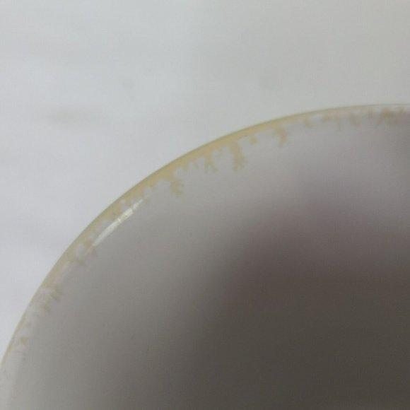 Vintage 1995 Miami Dolphins Xpres Coffee Mug Rustic NFL Football Photo Joe Sohm - Picture 12 of 14